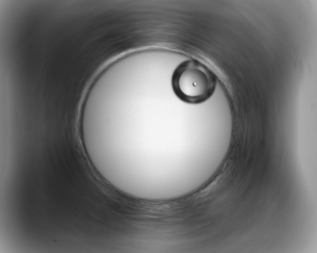 X0000088911332200706081334
