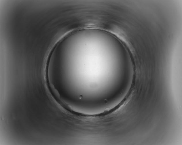 X0000088911333200706081334