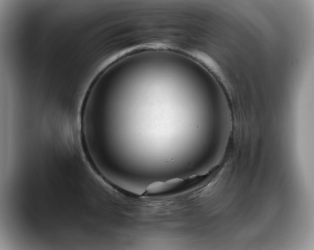 X0000088911335200706081334