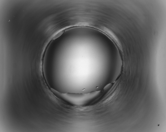X0000088911340200706081334