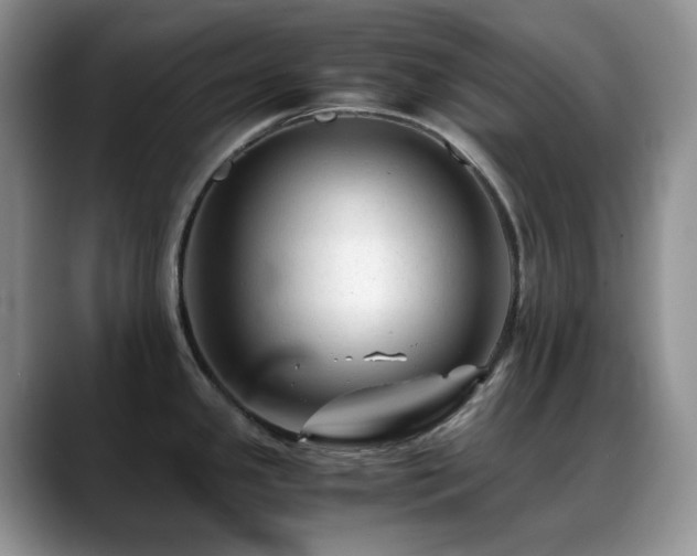X0000088911341200706081334