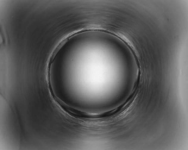 X0000088911342200706081334