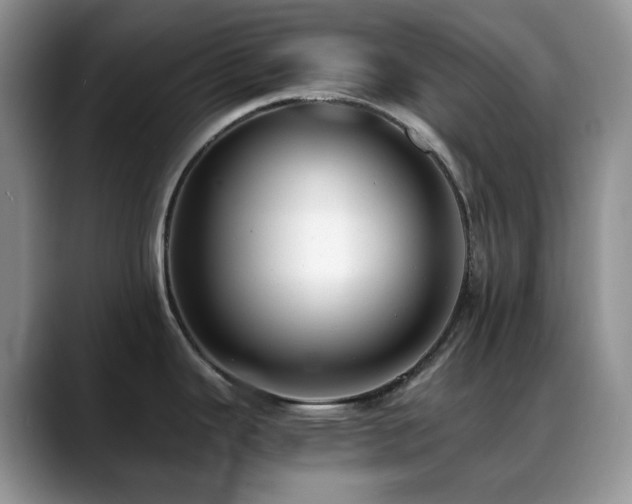 X0000088911343200706081334