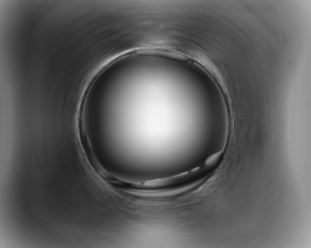 X0000088911344200706081335