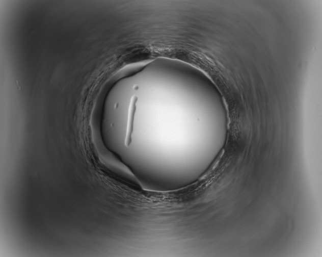 X0000088911345200706081334