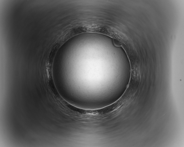 X0000088911346200706081334