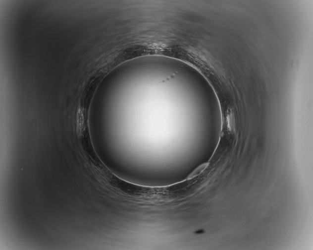 X0000088911347200706081334
