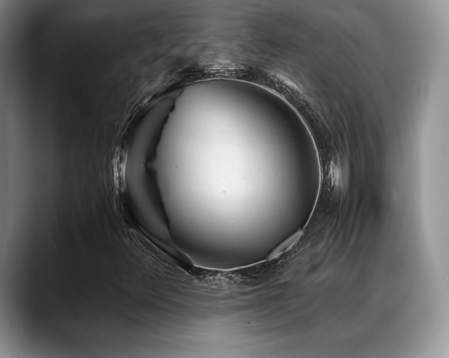 X0000088911348200706081334