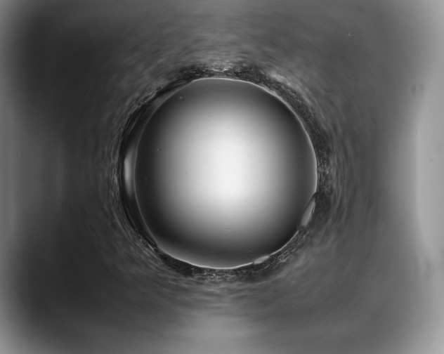 X0000088911349200706081334