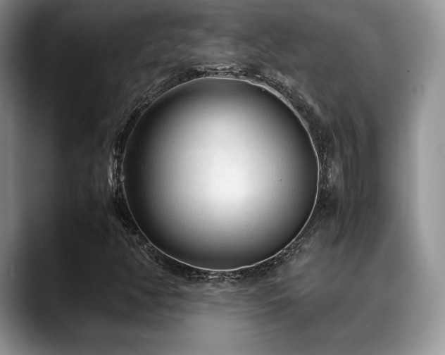 X0000088911350200706081334