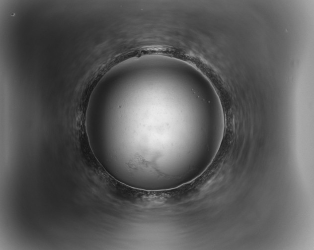 X0000088911351200706081334