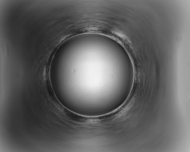 X0000088911353200706081334