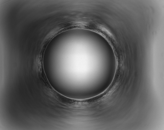 X0000088911354200706081334