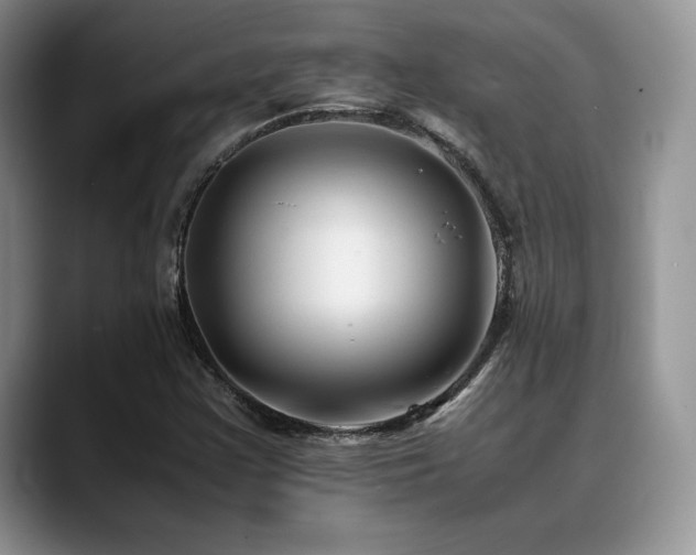 X0000088911355200706081334