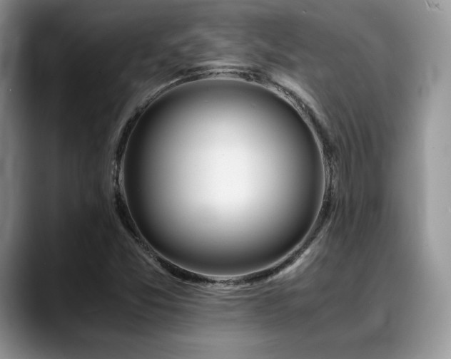 X0000088911357200706081334