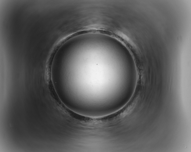 X0000088911358200706081334