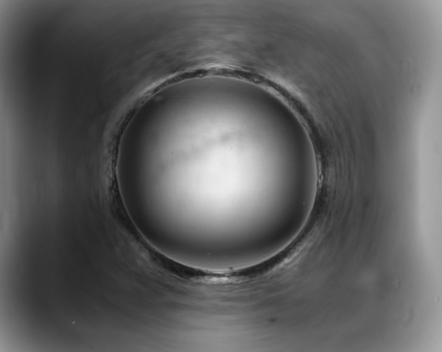 X0000088911359200706081334