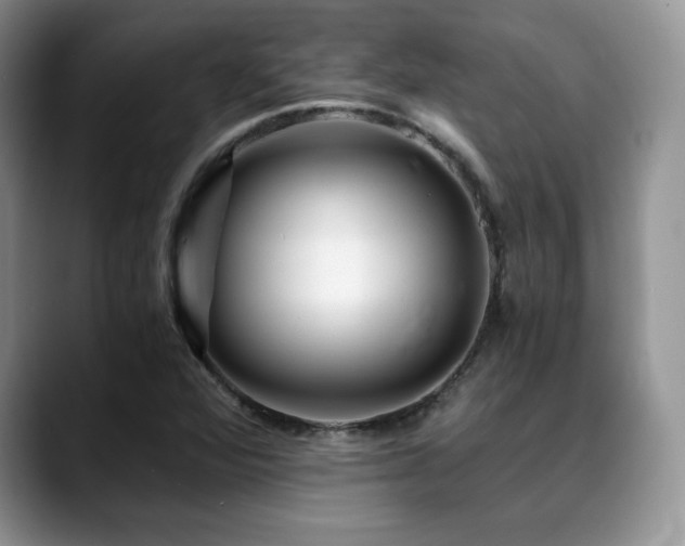X0000088911360200706081334