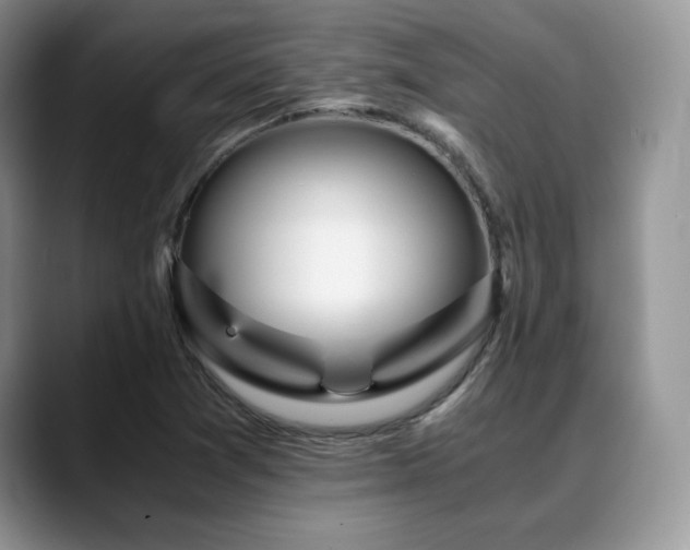 X0000088911361200706081334