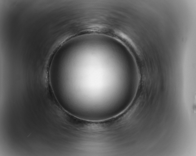 X0000088911362200706081334