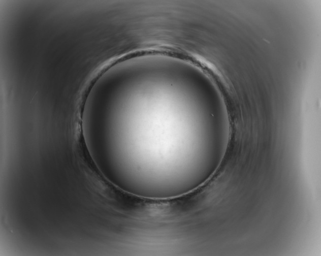 X0000088911363200706081334