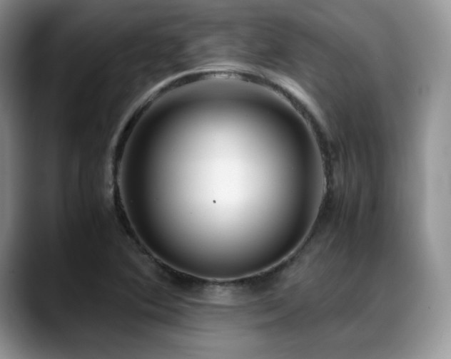 X0000088911364200706081334
