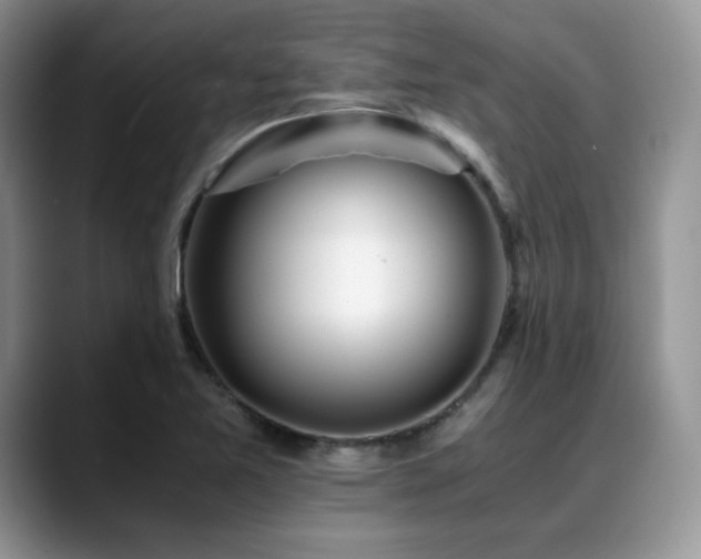 X0000088911365200706081334