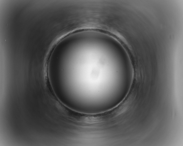 X0000088911366200706081334