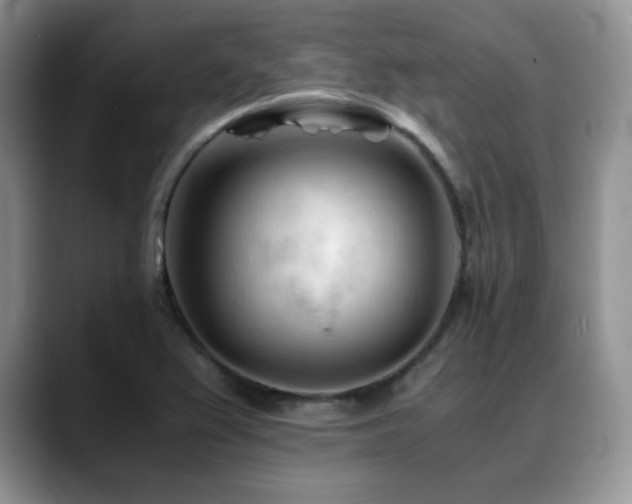 X0000088911367200706081334