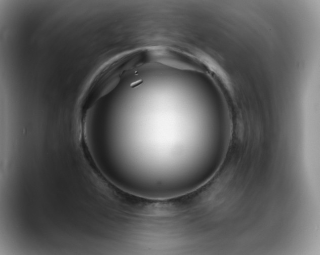 X0000088911368200706081334