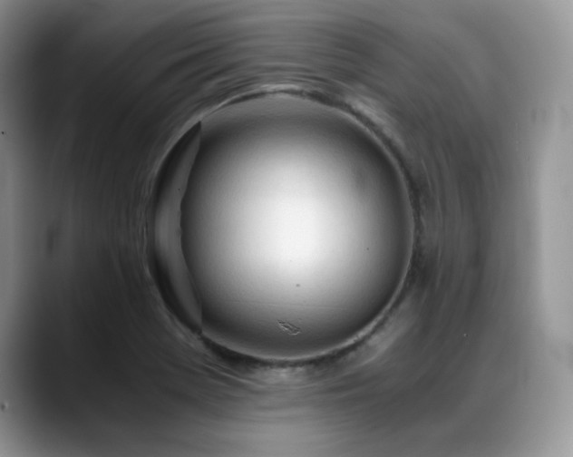 X0000088911369200706081334
