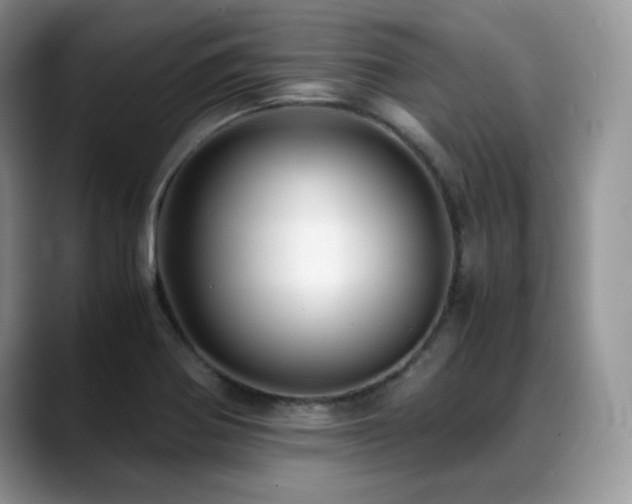 X0000088911370200706081334