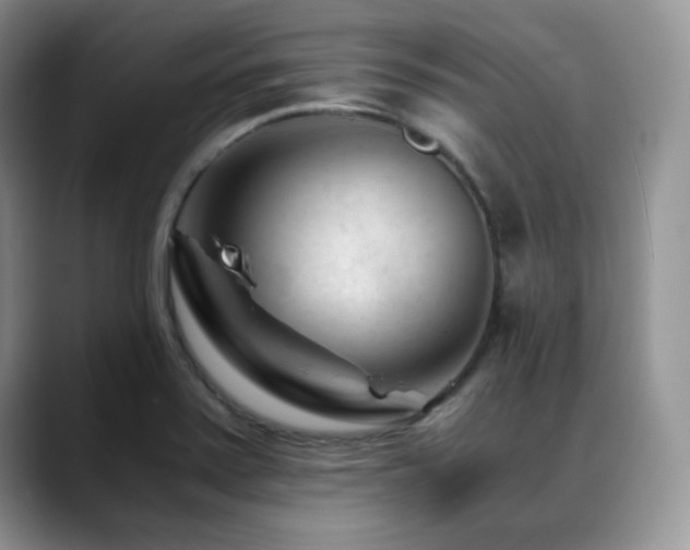 X0000088911371200706081334