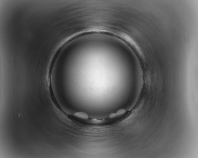 X0000088911372200706081334