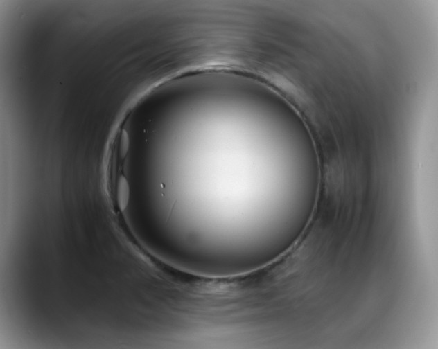 X0000088911374200706081334