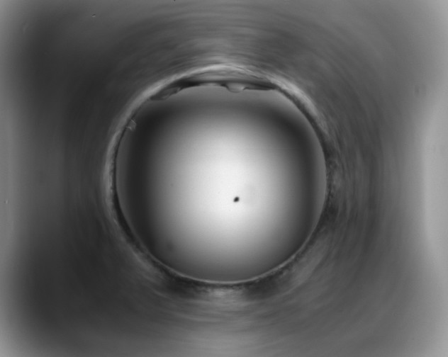 X0000088911375200706081334