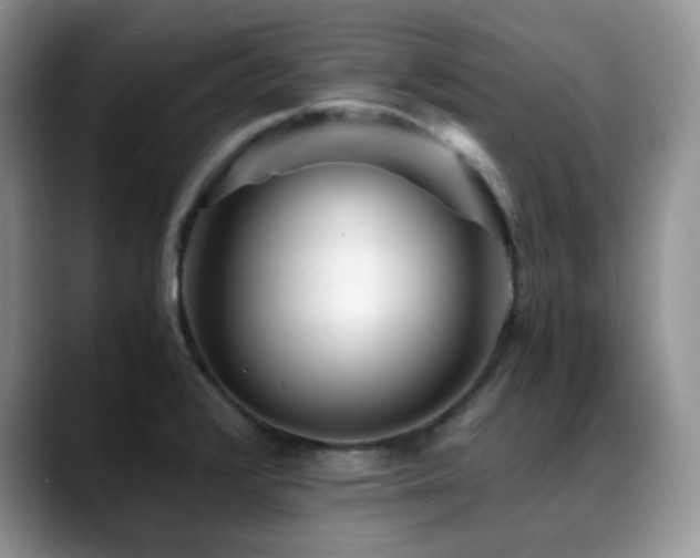 X0000088911376200706081334