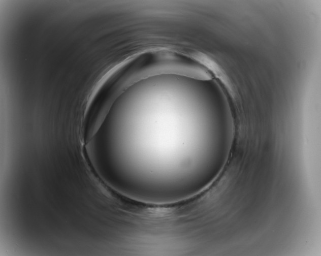 X0000088911377200706081334