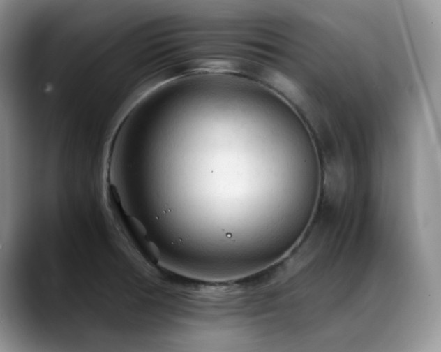 X0000088911378200706081334