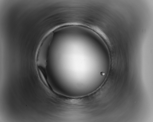 X0000088911380200706081334