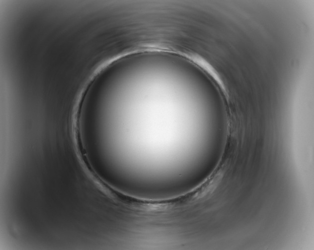 X0000088911381200706081334