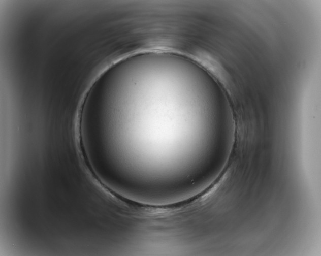 X0000088911382200706081334