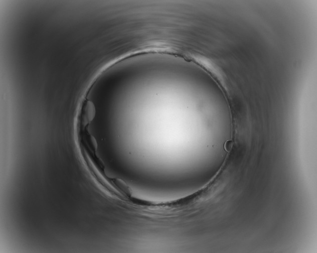 X0000088911383200706081334