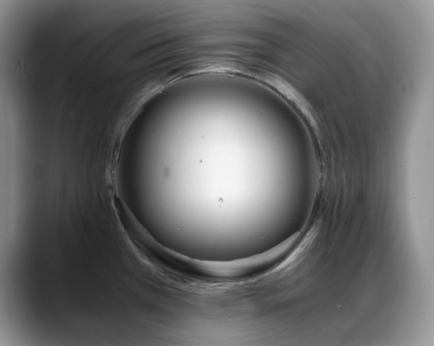 X0000088911385200706081333