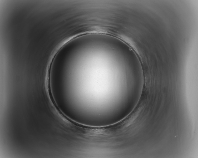 X0000088911387200706081333