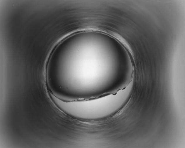 X0000088911388200706081333