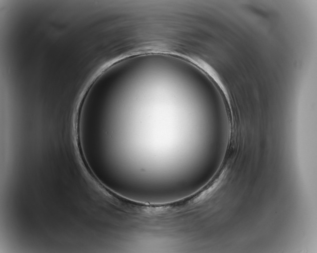 X0000088911389200706081333