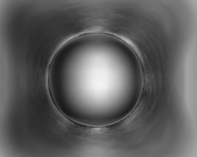 X0000088911390200706081333