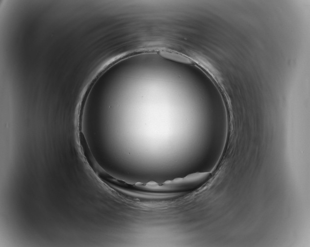 X0000088911392200706081333