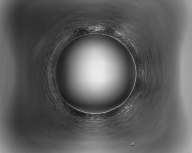 X0000088911393200706081333
